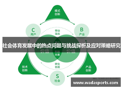 社会体育发展中的热点问题与挑战探析及应对策略研究