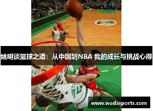 姚明谈篮球之道：从中国到NBA 我的成长与挑战心得